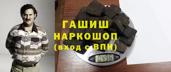 хмурый Алексин