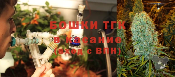 хмурый Алексин